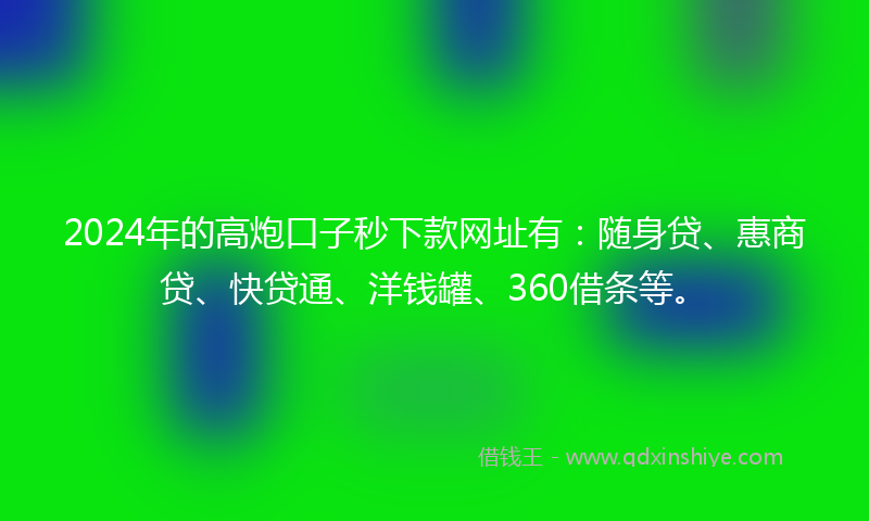 2024年的高炮口子秒下款网址有：随身贷、惠商贷、快贷通、洋钱罐、360借条等。