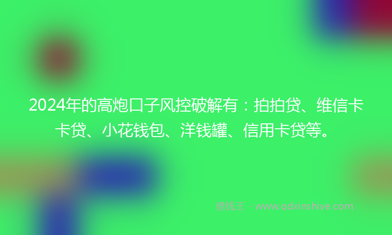 2024年的高炮口子风控破解有：拍拍贷、维信卡卡贷、小花钱包、洋钱罐、信用卡贷等。