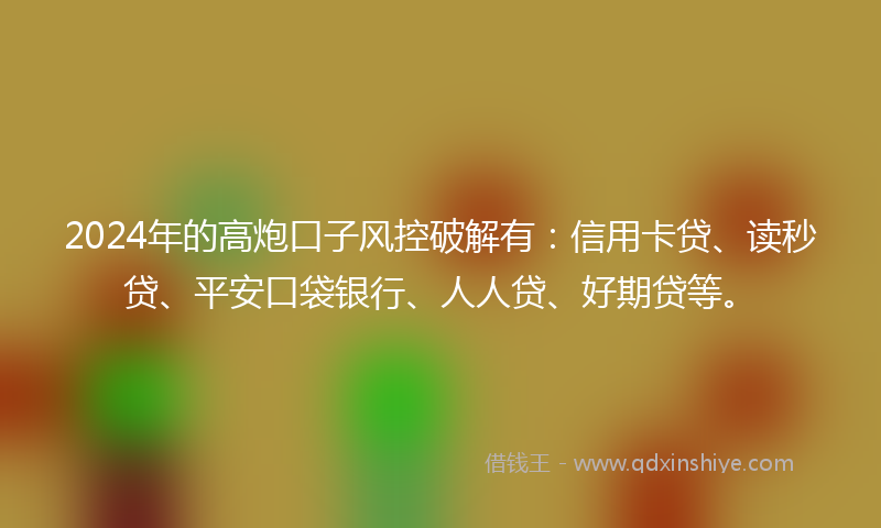 2024年的高炮口子风控破解有：信用卡贷、读秒贷、平安口袋银行、人人贷、好期贷等。