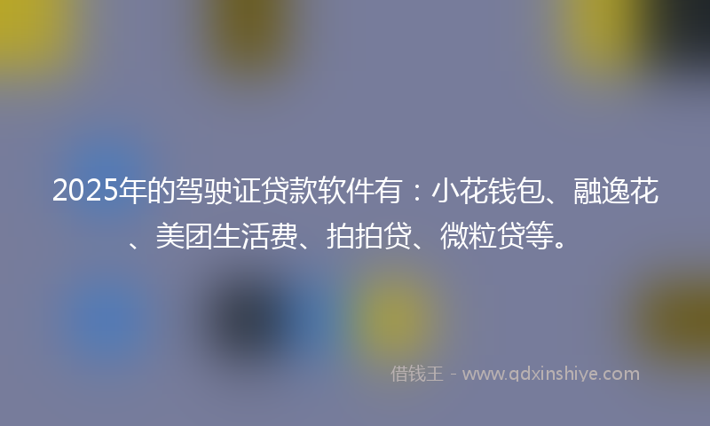 2025年的驾驶证贷款软件有：小花钱包、融逸花、美团生活费、拍拍贷、微粒贷等。