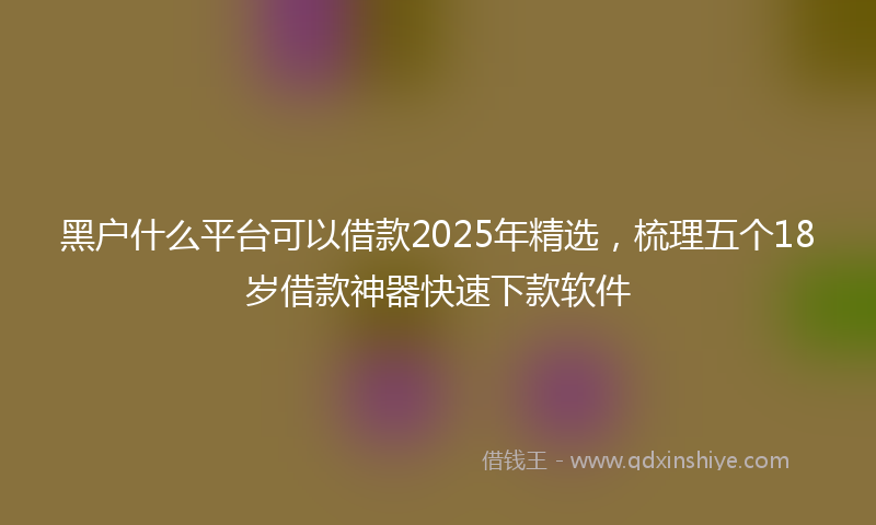 黑户什么平台可以借款2025年精选，梳理五个18岁借款神器快速下款软件