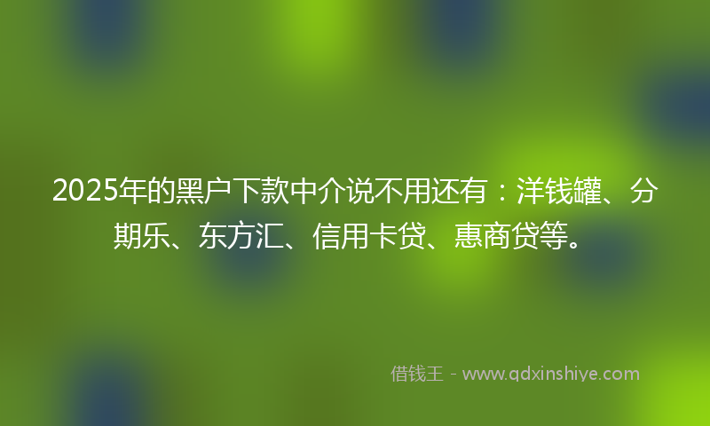 2025年的黑户下款中介说不用还有：洋钱罐、分期乐、东方汇、信用卡贷、惠商贷等。