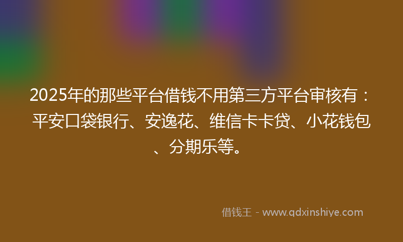 2025年的那些平台借钱不用第三方平台审核有：平安口袋银行、安逸花、维信卡卡贷、小花钱包、分期乐等。