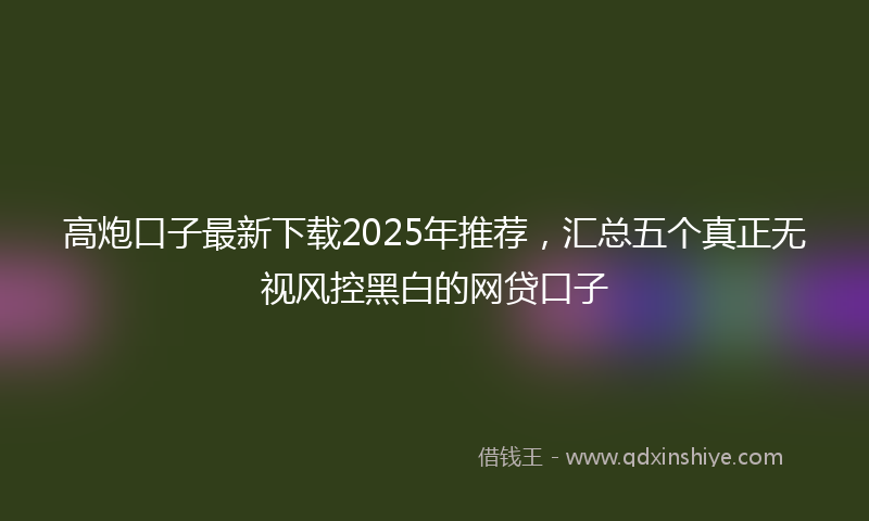 高炮口子最新下载2025年推荐，汇总五个真正无视风控黑白的网贷口子