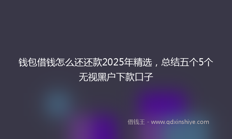 钱包借钱怎么还还款2025年精选，总结五个5个无视黑户下款口子