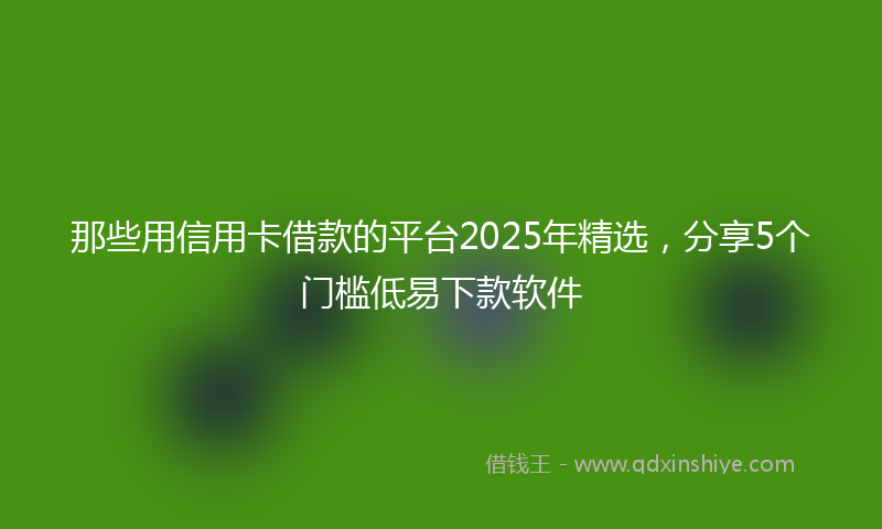 那些用信用卡借款的平台2025年精选，分享5个门槛低易下款软件