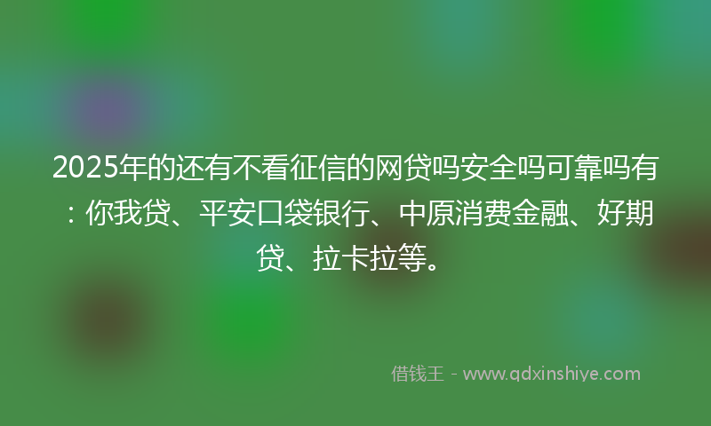 2025年的还有不看征信的网贷吗安全吗可靠吗有：你我贷、平安口袋银行、中原消费金融、好期贷、拉卡拉等。