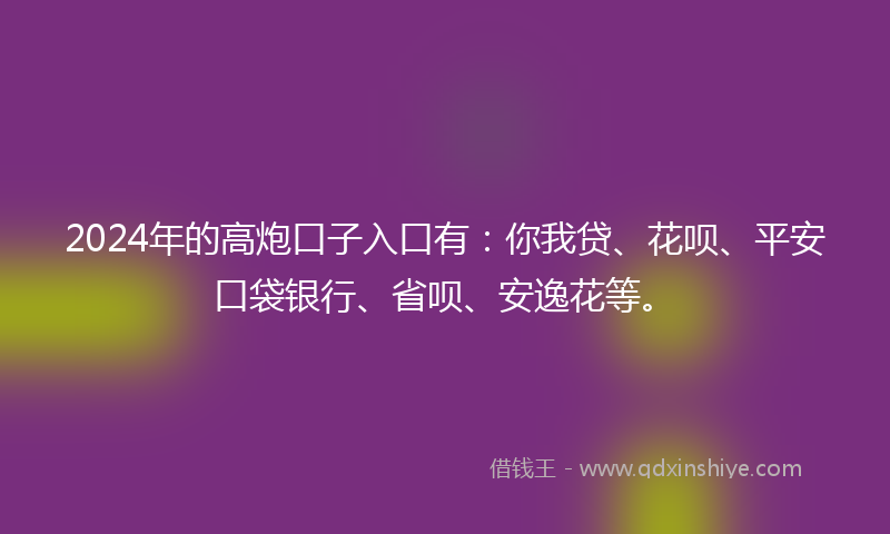 2024年的高炮口子入口有：你我贷、花呗、平安口袋银行、省呗、安逸花等。