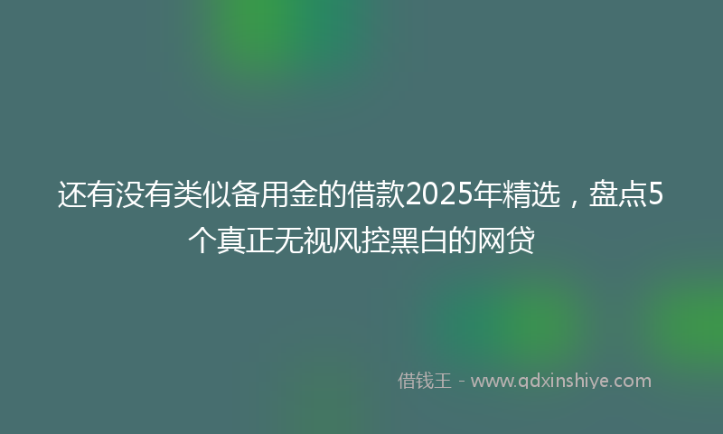 还有没有类似备用金的借款2025年精选，盘点5个真正无视风控黑白的网贷