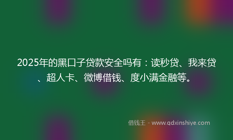 2025年的黑口子贷款安全吗有：读秒贷、我来贷、超人卡、微博借钱、度小满金融等。