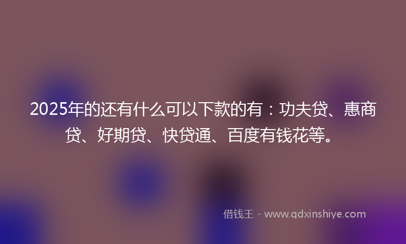 2025年的还有什么可以下款的有：功夫贷、惠商贷、好期贷、快贷通、百度有钱花等。