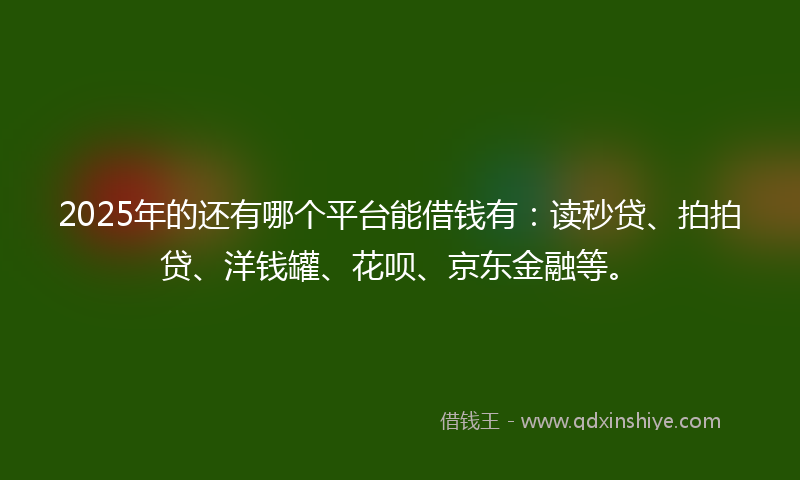 2025年的还有哪个平台能借钱有：读秒贷、拍拍贷、洋钱罐、花呗、京东金融等。