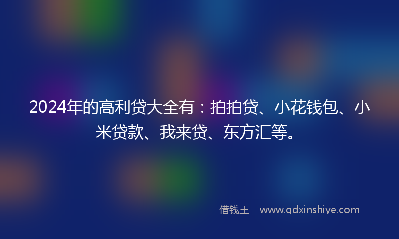 2024年的高利贷大全有：拍拍贷、小花钱包、小米贷款、我来贷、东方汇等。