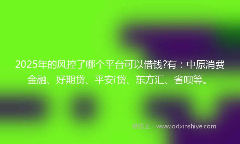 2025年的风控了哪个平台可以借钱?有：中原消费金融、好期贷、平安i贷、东方汇、省呗等。