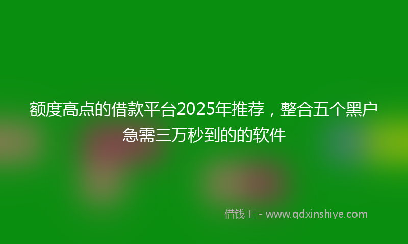 额度高点的借款平台2025年推荐，整合五个黑户急需三万秒到的的软件