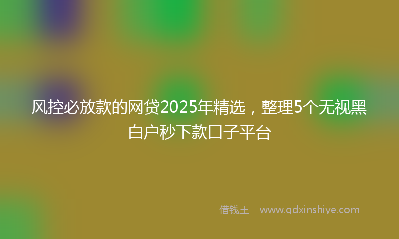 风控必放款的网贷2025年精选，整理5个无视黑白户秒下款口子平台