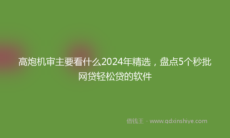 高炮机审主要看什么2024年精选，盘点5个秒批网贷轻松贷的软件