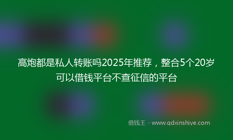 高炮都是私人转账吗2025年推荐，整合5个20岁可以借钱平台不查征信的平台
