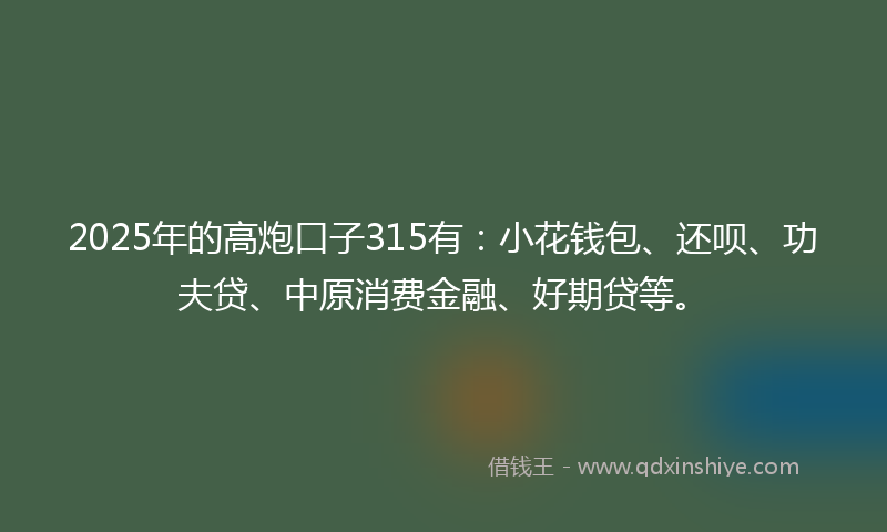 2025年的高炮口子315有：小花钱包、还呗、功夫贷、中原消费金融、好期贷等。