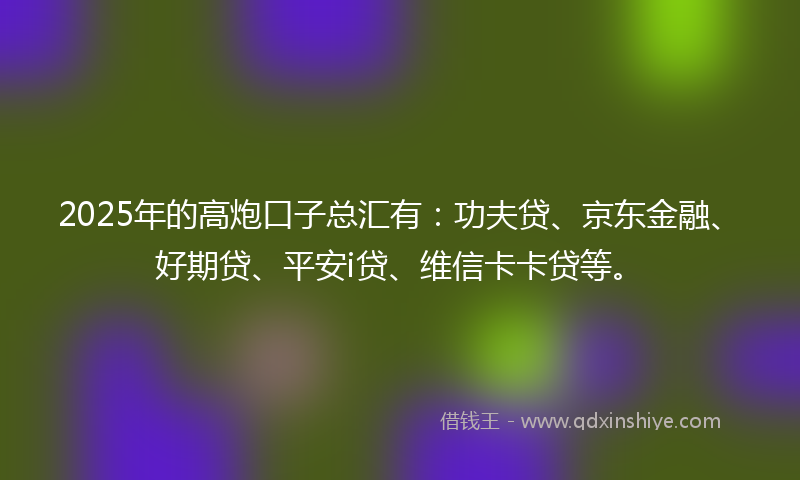 2025年的高炮口子总汇有：功夫贷、京东金融、好期贷、平安i贷、维信卡卡贷等。