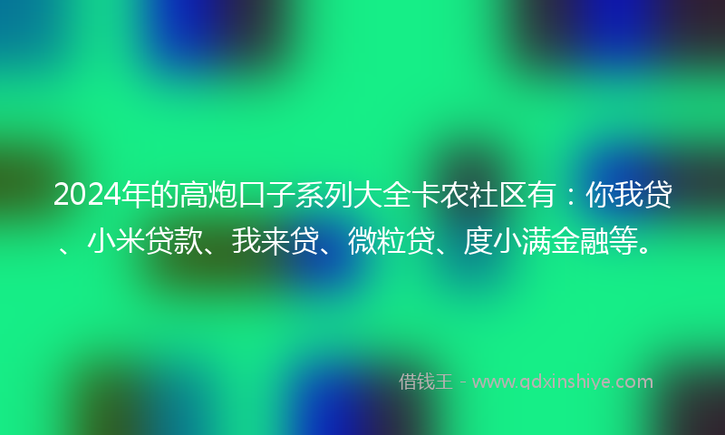 2024年的高炮口子系列大全卡农社区有：你我贷、小米贷款、我来贷、微粒贷、度小满金融等。