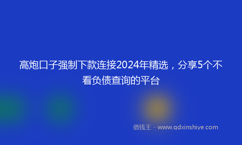高炮口子强制下款连接2024年精选，分享5个不看负债查询的平台