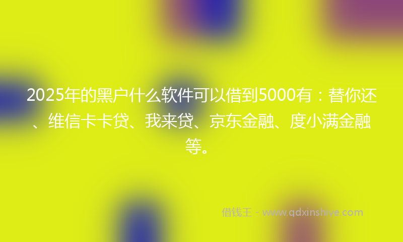 2025年的黑户什么软件可以借到5000有：替你还、维信卡卡贷、我来贷、京东金融、度小满金融等。
