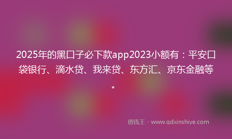2025年的黑口子必下款app2023小额有：平安口袋银行、滴水贷、我来贷、东方汇、京东金融等。