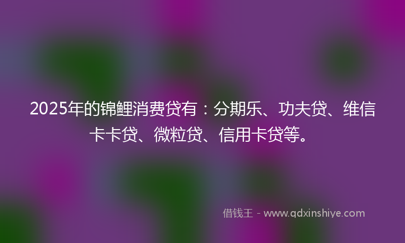 2025年的锦鲤消费贷有：分期乐、功夫贷、维信卡卡贷、微粒贷、信用卡贷等。