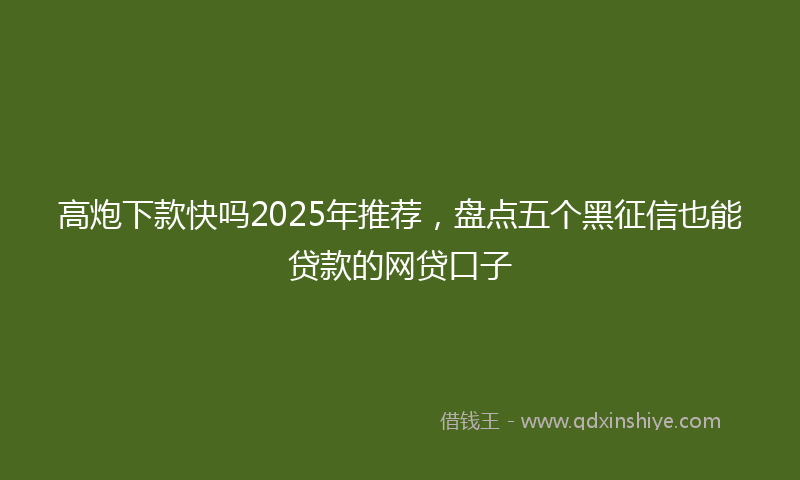 高炮下款快吗2025年推荐，盘点五个黑征信也能贷款的网贷口子