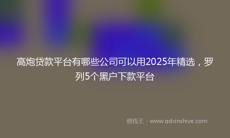 高炮贷款平台有哪些公司可以用2025年精选，罗列5个黑户下款平台
