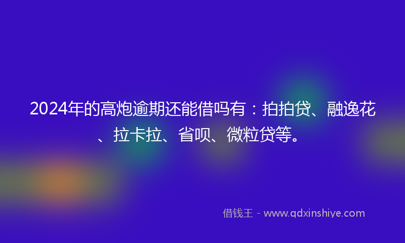 2024年的高炮逾期还能借吗有：拍拍贷、融逸花、拉卡拉、省呗、微粒贷等。