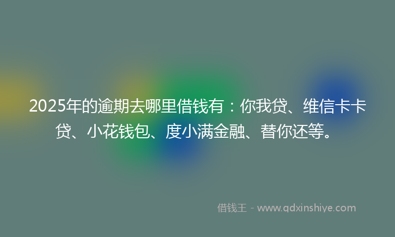 2025年的逾期去哪里借钱有：你我贷、维信卡卡贷、小花钱包、度小满金融、替你还等。