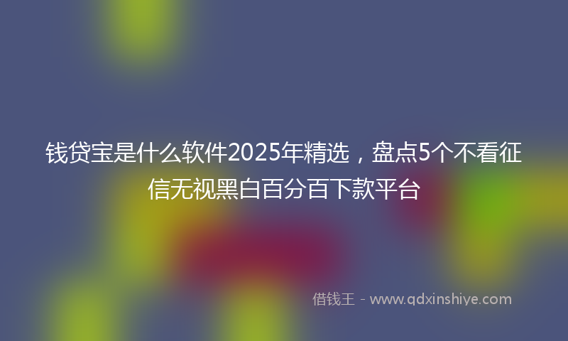 钱贷宝是什么软件2025年精选，盘点5个不看征信无视黑白百分百下款平台
