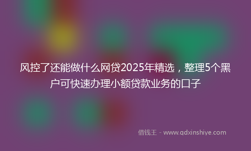 风控了还能做什么网贷2025年精选，整理5个黑户可快速办理小额贷款业务的口子