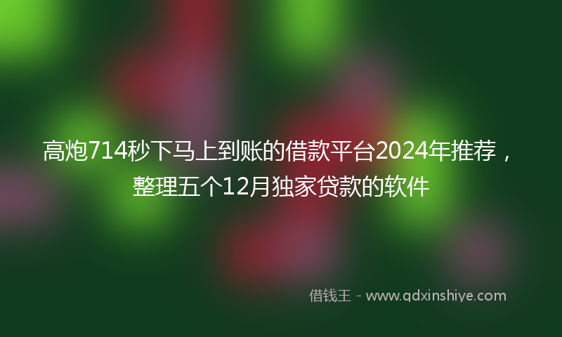 高炮714秒下马上到账的借款平台2024年推荐，整理五个12月独家贷款的软件