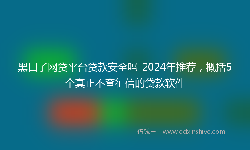 黑口子网贷平台贷款安全吗_2024年推荐，概括5个真正不查征信的贷款软件