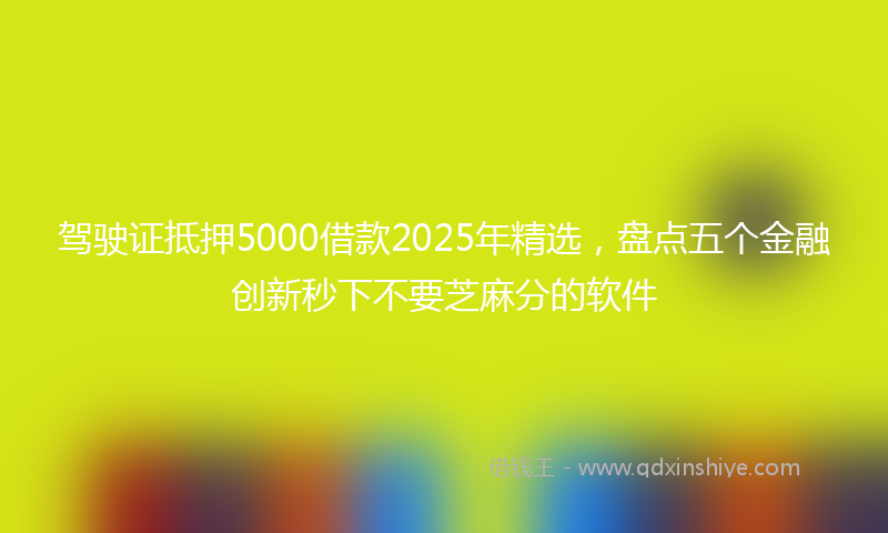 驾驶证抵押5000借款2025年精选，盘点五个金融创新秒下不要芝麻分的软件