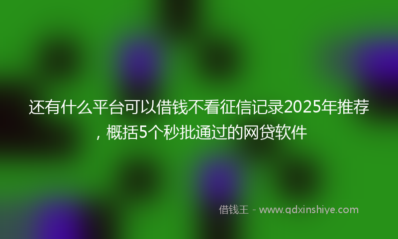 还有什么平台可以借钱不看征信记录2025年推荐，概括5个秒批通过的网贷软件