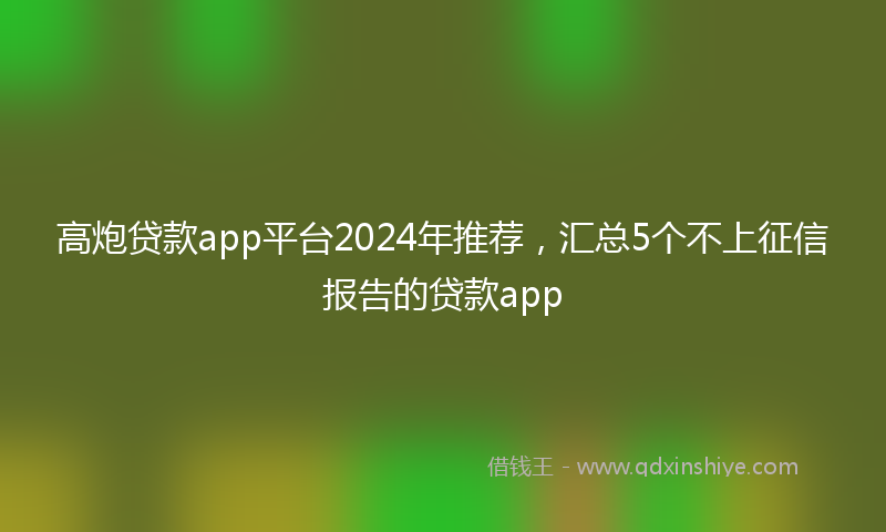 高炮贷款app平台2024年推荐，汇总5个不上征信报告的贷款app