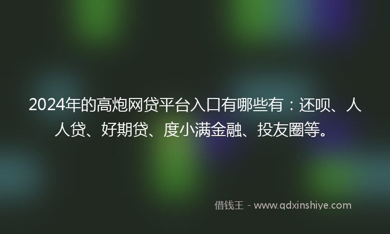 2024年的高炮网贷平台入口有哪些有：还呗、人人贷、好期贷、度小满金融、投友圈等。