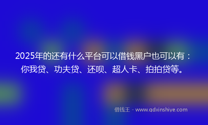 2025年的还有什么平台可以借钱黑户也可以有：你我贷、功夫贷、还呗、超人卡、拍拍贷等。