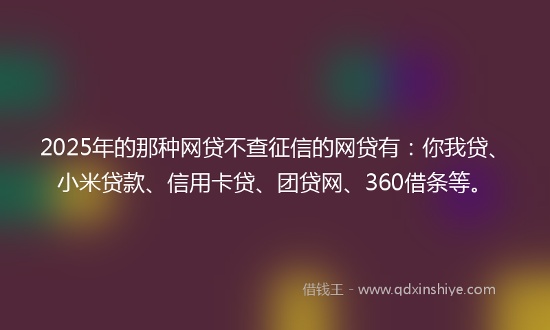 2025年的那种网贷不查征信的网贷有：你我贷、小米贷款、信用卡贷、团贷网、360借条等。
