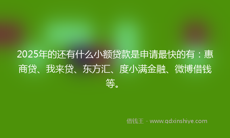 2025年的还有什么小额贷款是申请最快的有：惠商贷、我来贷、东方汇、度小满金融、微博借钱等。