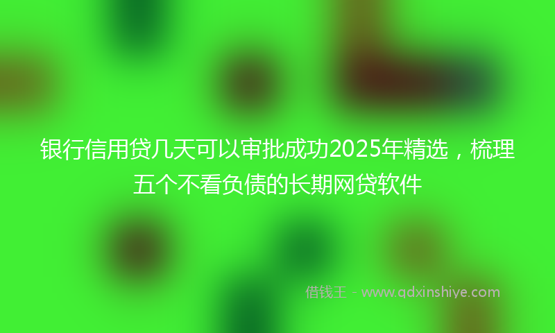 银行信用贷几天可以审批成功2025年精选，梳理五个不看负债的长期网贷软件