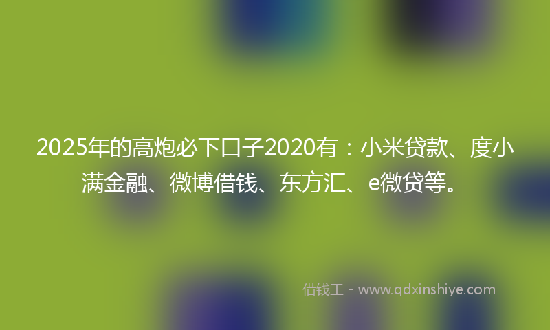 2025年的高炮必下口子2020有：小米贷款、度小满金融、微博借钱、东方汇、e微贷等。