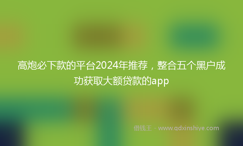 高炮必下款的平台2024年推荐，整合五个黑户成功获取大额贷款的app