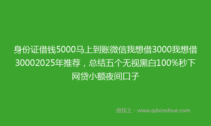 身份证借钱5000马上到账微信我想借3000我想借30002025年推荐，总结五个无视黑白100%秒下网贷小额夜间口子