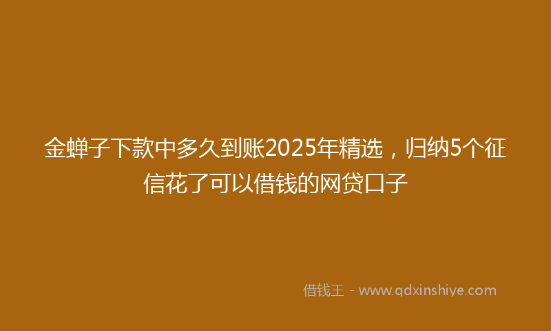金蝉子下款中多久到账2025年精选，归纳5个征信花了可以借钱的网贷口子