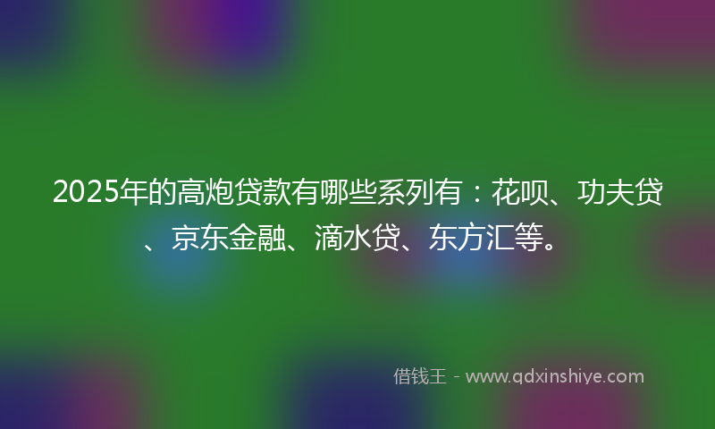 2025年的高炮贷款有哪些系列有：花呗、功夫贷、京东金融、滴水贷、东方汇等。